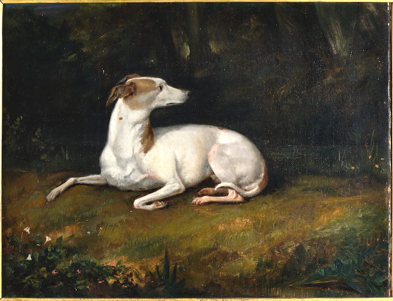 Fido, l’un des lévrier des Lamartine, œuvre de Marianne de Lamartine